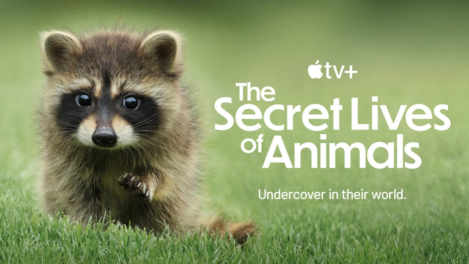 trailer for The Secret Lives of Animals