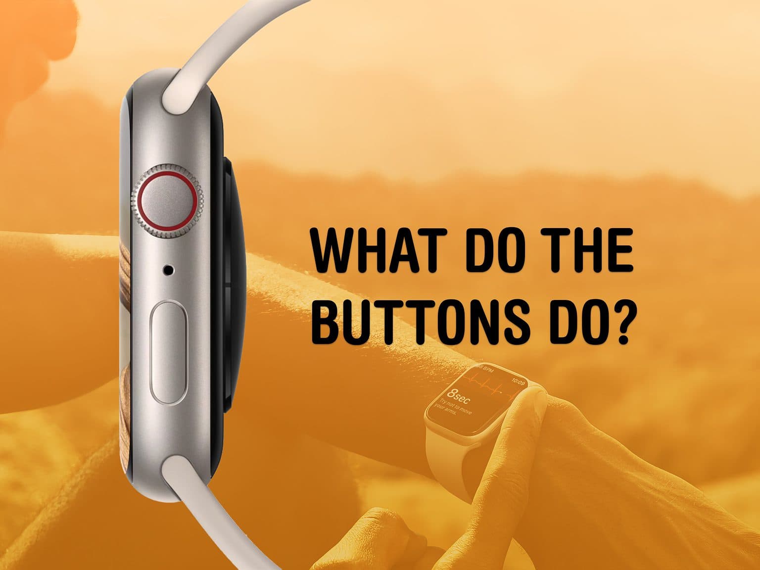 What do the buttons do?